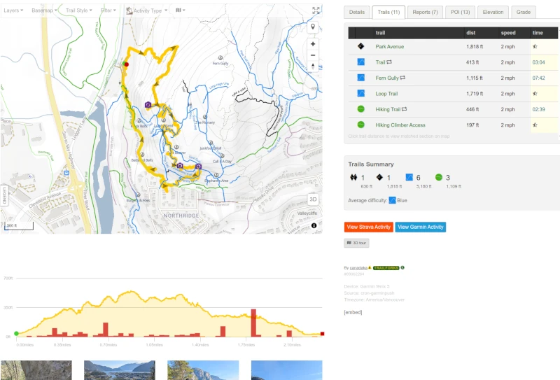 activity detail