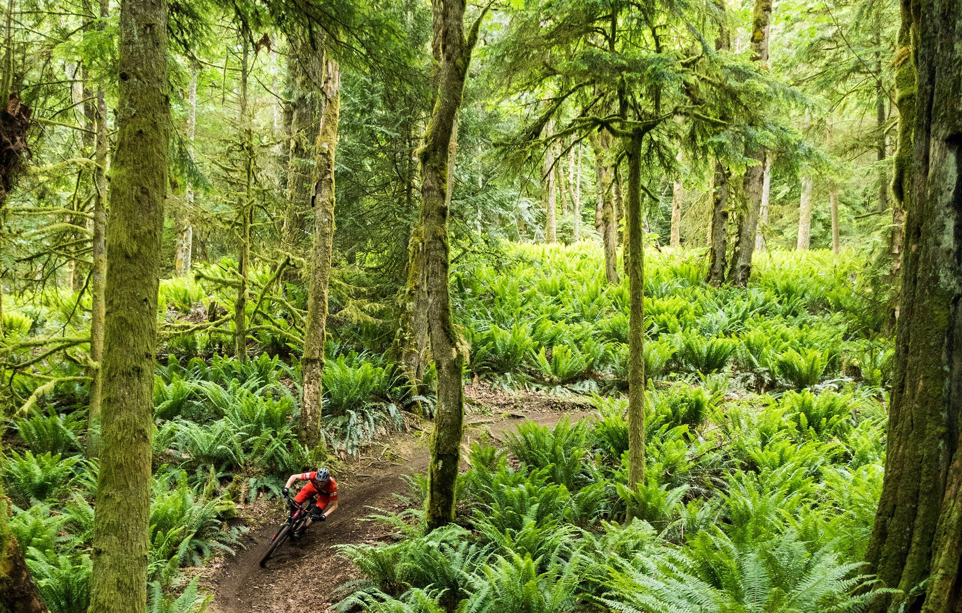 Trailforks Mobile App